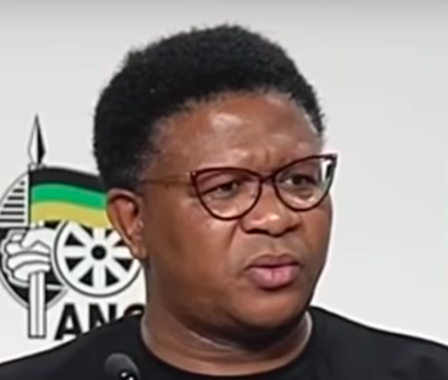 fikile mbalula