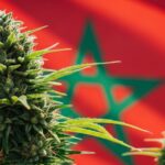 haschich maroc1