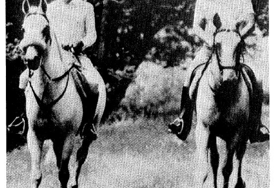 hassan-II-reagan-a-caballo-553x381