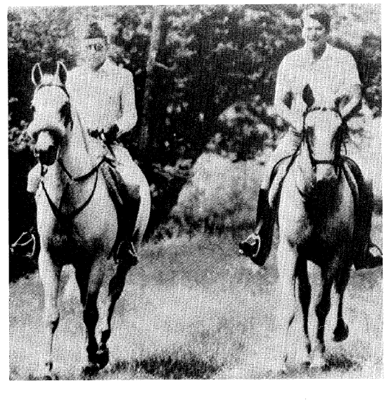 hassan II reagan a caballo