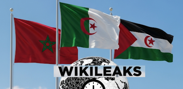 wikileaks sahara maroc algerie