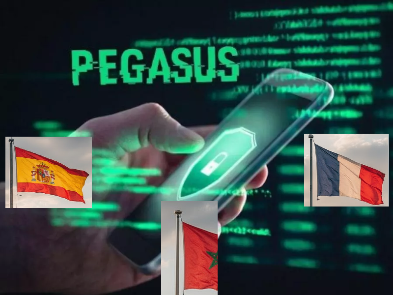 pegasus003
