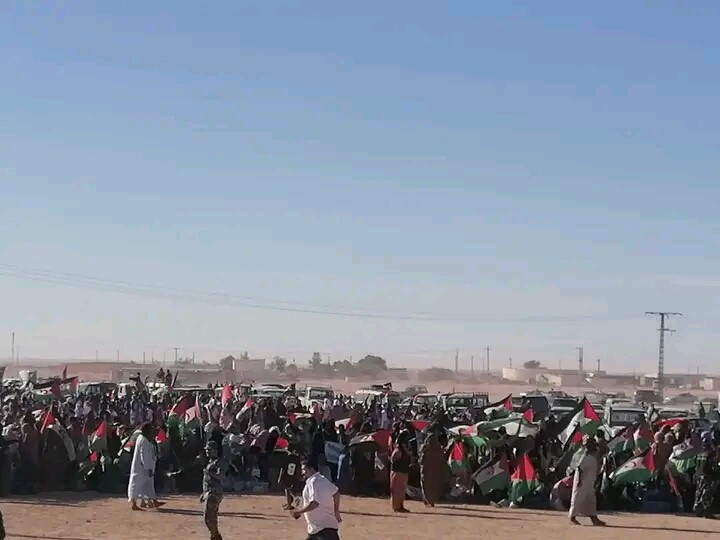 refugiados saharauis1