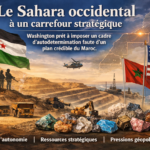 sahara ressources2