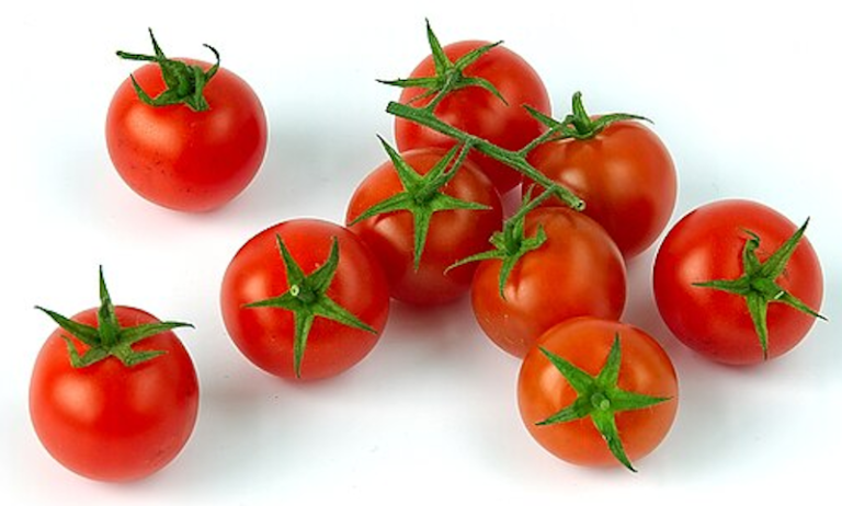 tomates cerises2