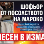 conducteur de sophia