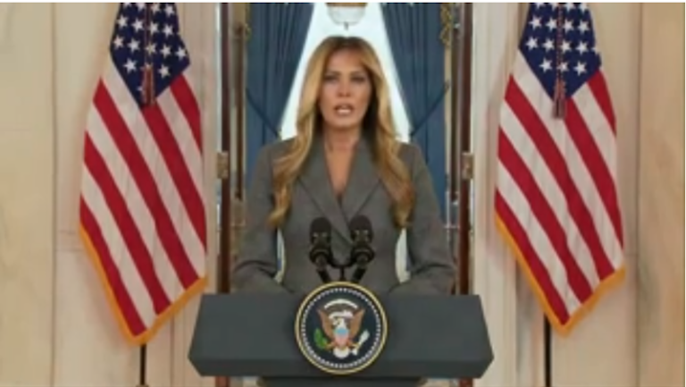 melania declaration2