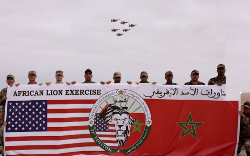 african lion moroccp flag
