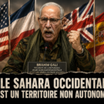 ghali en colere sahara TNA